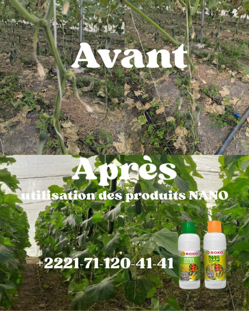 Résultats visibles sur le terrain
